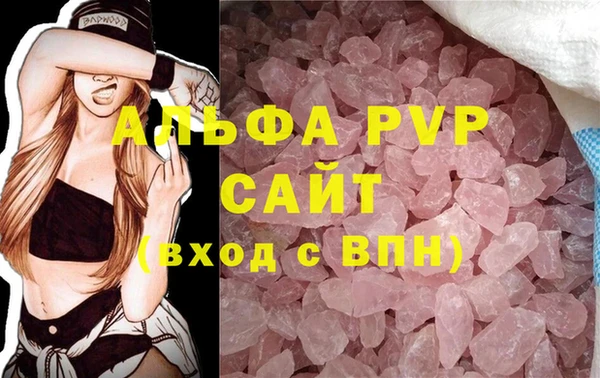 СК Белокуриха