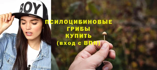 СК Богородск