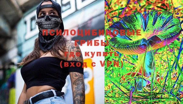 СК Богородск