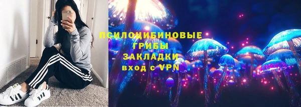 СК Белокуриха