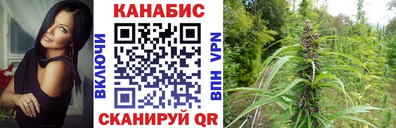 цена наркотик Владивосток OMG ONION Бошки Шишки сатива